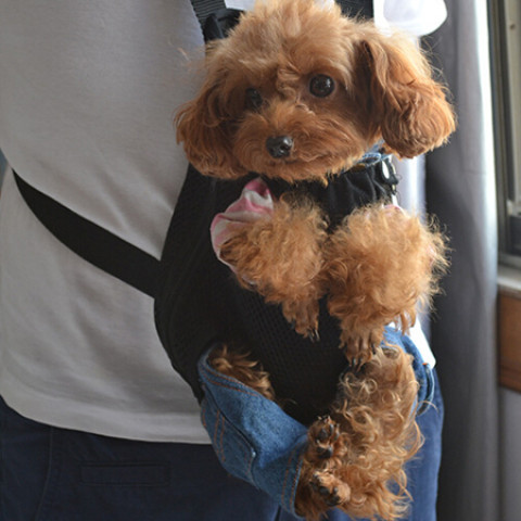 Outdoor Pet Bag, Other Bags, business gifts