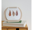 Drum Calendar, Printing Products, business gifts