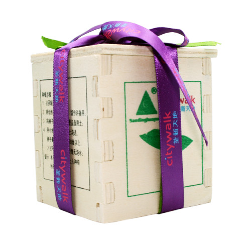 Eco Mini Plants, Green Gifts, business gifts