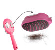 Airbag Massage Comb, Personal Care Products, business gifts