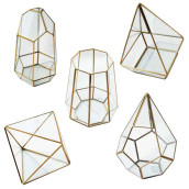 Geometric Glass Terrariums Geometric Glass Terrariums