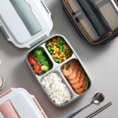 3-Compartment Stainless Steel Lunch Box (with Cutlery)