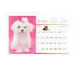 Table Calendar, Calendar, business gifts