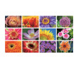Table Calendar, Calendar, business gifts