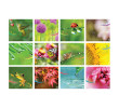Table Calendar, Calendar, business gifts