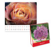 Table Calendar, Calendar, business gifts