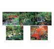 Wall Calendar, Calendar, business gifts