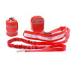 Pet Running Traction Bag Set, Other Bags, business gifts