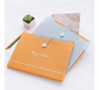 A4 Paper Expanding File Folder, Folder And File, business gifts