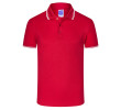 Custom Logo Polo Tee Shirts, Polo Shirts, business gifts