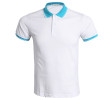 Custom Polo Company Shirts, Polo Shirts, business gifts