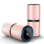 Ionic Air Purifier with Dual USB Ports Ionic Air Purifier with Dual USB Ports