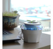 Peace Grass Car Air Purifier, Personal Care Products, business gifts