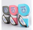Mini Carry Fan, Electronic Fan, business gifts