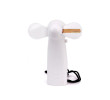 LED Flash Fan, Electronic Fan, business gifts